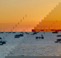 Darwin Shore Excursion Hop-on Hop-off Bus Tour - Holiday Find