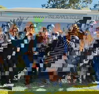 Full Day Mount Tamborine Winery Tour from Gold Coast - Holiday Find