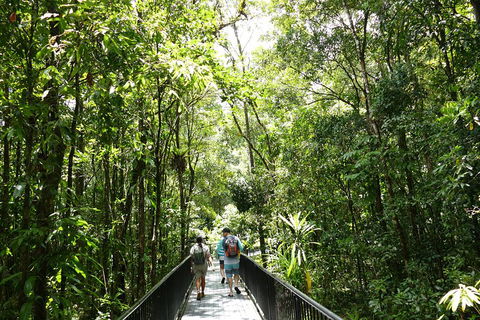 Daintree Dreaming Traditional Aboriginal Fishing From Cairns Or Port Douglas - Holiday Find 3