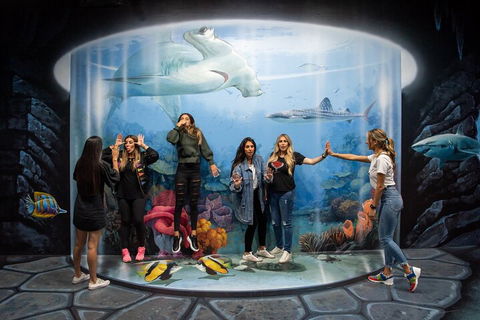 ArtVo Immersive Gallery Experience - Holiday Find 2