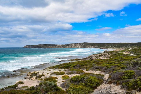 Kangaroo Island Luxury Small Group 'East End Explorer' Full Day Tour - Holiday Find 0