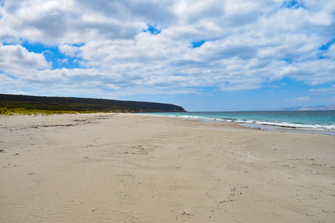 Kangaroo Island Luxury Small Group 'East End Explorer' Full Day Tour - Holiday Find 3