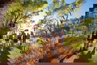 Uluru Small Group Tour including Sunset