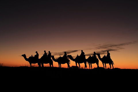 Uluru Small-Group Tour By Camel At Sunrise Or Sunset - Holiday Find 4