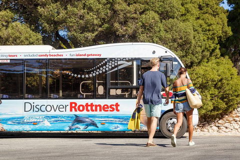 Discover Rottnest With Ferry & Bus Tour From Perth Or Fremantle - Holiday Find 1