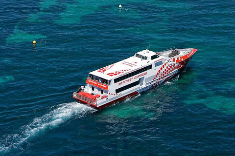 Discover Rottnest With Ferry & Bus Tour From Perth Or Fremantle - Holiday Find 3