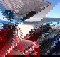 Adventure Rottnest Tour with Ferry  Adventure Cruise from Perth or Fremantle - Holiday Find