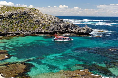 Adventure Rottnest Tour With Ferry & Adventure Cruise From Perth Or Fremantle - Holiday Find 5