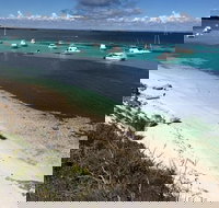 Experience Rottnest with Ferry  Bike Hire from Perth or Fremantle - Holiday Find