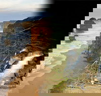 Melbourne Super Saver Great Ocean Road  Phillip Island  Attraction Pass - Holiday Find