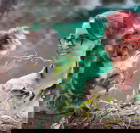 Small-Group Phillip Island Penguin Parade Day Tour from Melbourne - Holiday Find