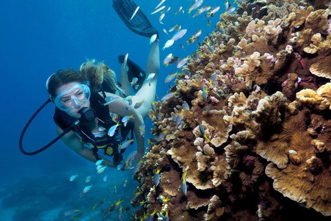 Great Barrier Reef Diving And Snorkeling Cruise From Cairns - Holiday Find 1