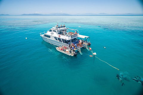 Ocean Freedom Great Barrier Reef Personal Luxury Snorkel & Dive Cruise, Cairns - Holiday Find 0