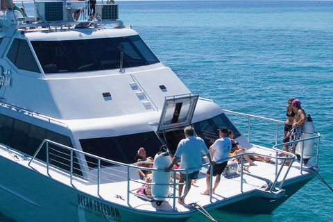 Ocean Freedom Great Barrier Reef Personal Luxury Snorkel & Dive Cruise, Cairns - Holiday Find 1
