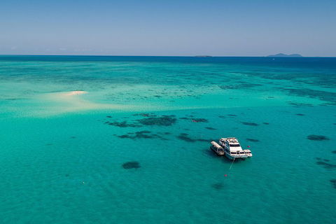 Ocean Freedom Great Barrier Reef Personal Luxury Snorkel & Dive Cruise, Cairns - Holiday Find 2