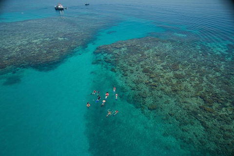Ocean Freedom Great Barrier Reef Personal Luxury Snorkel & Dive Cruise, Cairns - Holiday Find 3