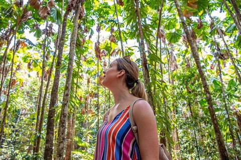 5 Day Australia Retreat: Queensland Daintree - Holiday Find 0