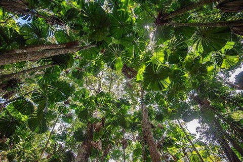 5 Day Australia Retreat: Queensland Daintree - Holiday Find 2