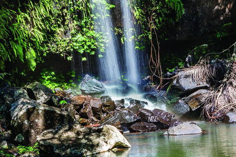 Full Day Small Group Luxury Tour To Tamborine Mountain - Holiday Find 0