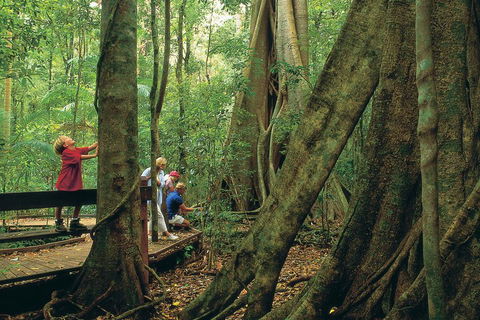 Full Day Small Group Luxury Tour To Tamborine Mountain - Holiday Find 1