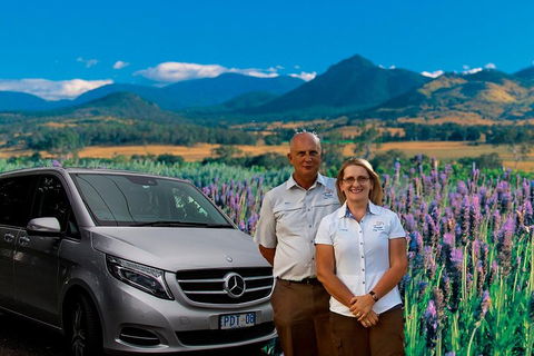 Full Day Small Group Luxury Tour To Tamborine Mountain - Holiday Find 3