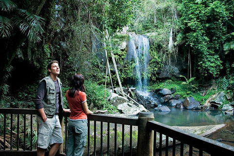 Full Day Small Group Luxury Tour To Tamborine Mountain - Holiday Find 4
