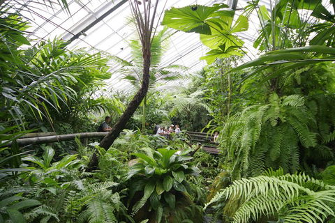 Australian Butterfly Sanctuary - Holiday Find 3