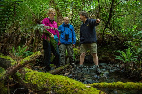 Bruny Island Traveller - Gourmet Tasting And Sightseeing Day Trip From Hobart - Holiday Find 1