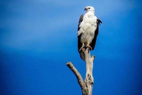 Kangaroo Island 75-Minute Ocean Safari - Holiday Find 0