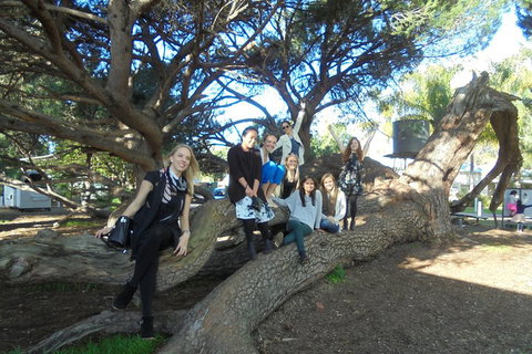 1/2 Day Swan Valley Wine Cheese & Chocolate Tour Inc Afternoon Cruise To Perth - Holiday Find 0