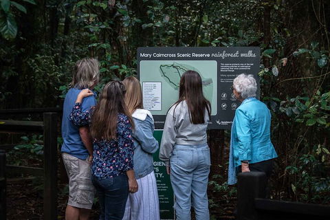 Sunshine Coast Hinterland And Noosa Day Trip From Brisbane Including Eumundi Markets And Ginger Factory - Holiday Find 0