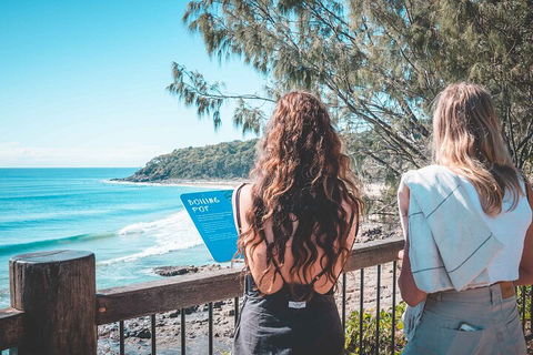 Sunshine Coast Hinterland And Noosa Day Trip From Brisbane Including Eumundi Markets And Ginger Factory - Holiday Find 2