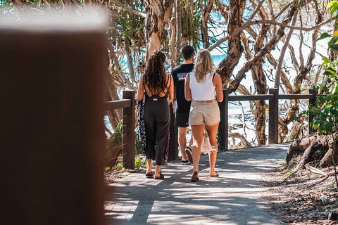 Sunshine Coast Hinterland And Noosa Day Trip From Brisbane Including Eumundi Markets And Ginger Factory - Holiday Find 4