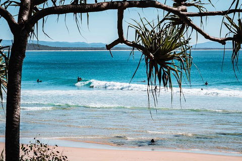 Sunshine Coast Hinterland And Noosa Day Trip From Brisbane Including Eumundi Markets And Ginger Factory - Holiday Find 5