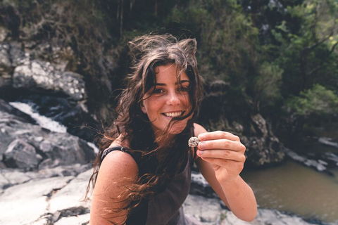 Springbrook AndTamborine Rainforest Tour Incl Natural Bridge And Glow Worm Cave - Holiday Find 1