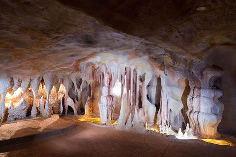 Springbrook AndTamborine Rainforest Tour Incl Natural Bridge And Glow Worm Cave - Holiday Find 4