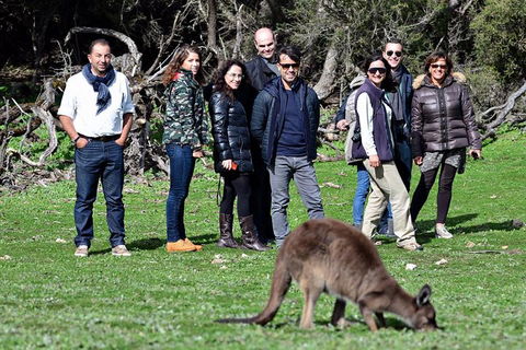 2-Day Kangaroo Island 4WD Small-Group Tour From Adelaide - Holiday Find 1