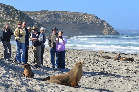 2-Day Kangaroo Island 4WD Small-Group Tour From Adelaide - Holiday Find 3