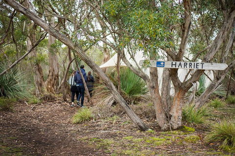 2-Day Kangaroo Island 4WD Small-Group Tour From Adelaide - Holiday Find 5