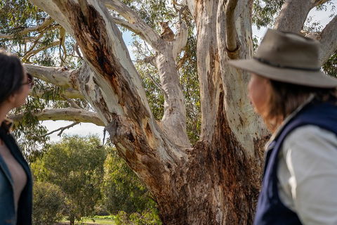 NEW TOUR - Kangaroo Island Road To Recovery Tour (1 Day/1 Night) - Holiday Find 0