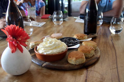 Small-Group Afternoon Cairns City Tour With Harbour Dinner Cruise - Holiday Find 3