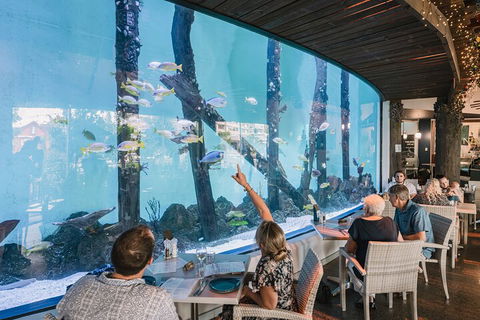 Cairns Aquarium Tour By Twilight With Drink And Appetiser - Holiday Find 3