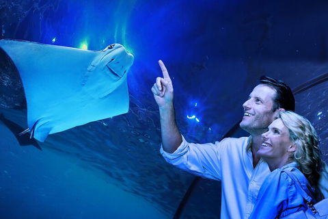 Cairns Aquarium Tour By Twilight With Drink And Appetiser - Holiday Find 4