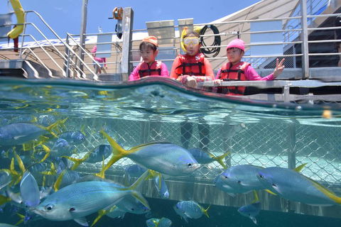 Outer Reef Pontoon Experience From Cairns - Holiday Find 0