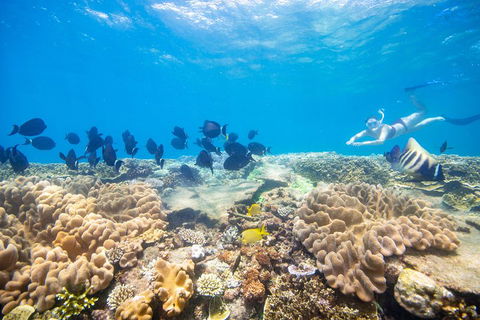 Outer Reef Pontoon Experience From Cairns - Holiday Find 4
