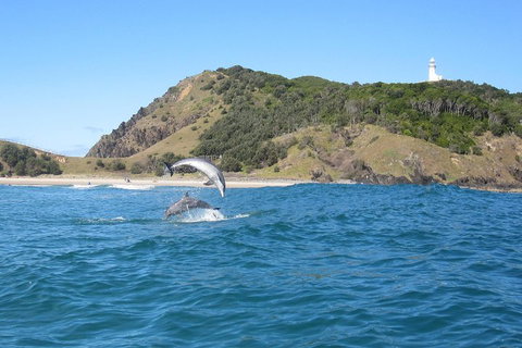 Kayaking With Dolphins In Byron Bay Guided Tour - Holiday Find 0