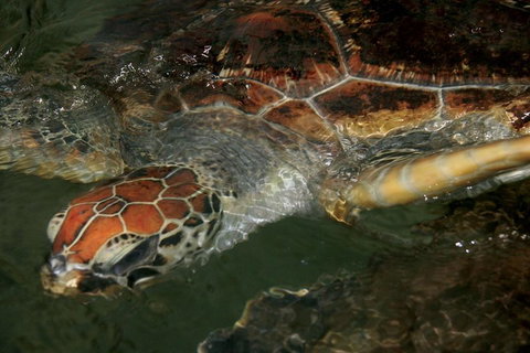 Cape Leveque 4WD Tour From Broome With Optional Return Flight - Holiday Find 2