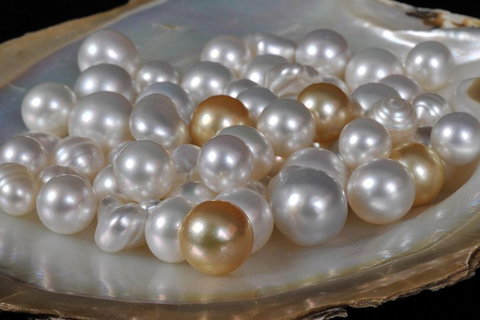 Cape Leveque 4WD Tour From Broome With Optional Return Flight - Holiday Find 5