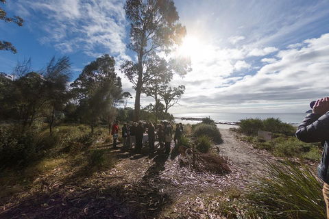 Bruny Island Day Tour, Includes Lunch And Exclusive Lighthouse Tour - Holiday Find 5