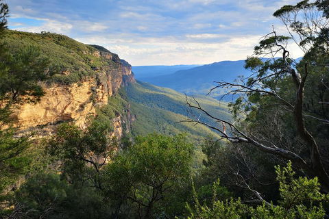 Blue Mountains Day Tour With Wildlife At Sunset From Sydney - Holiday Find 5